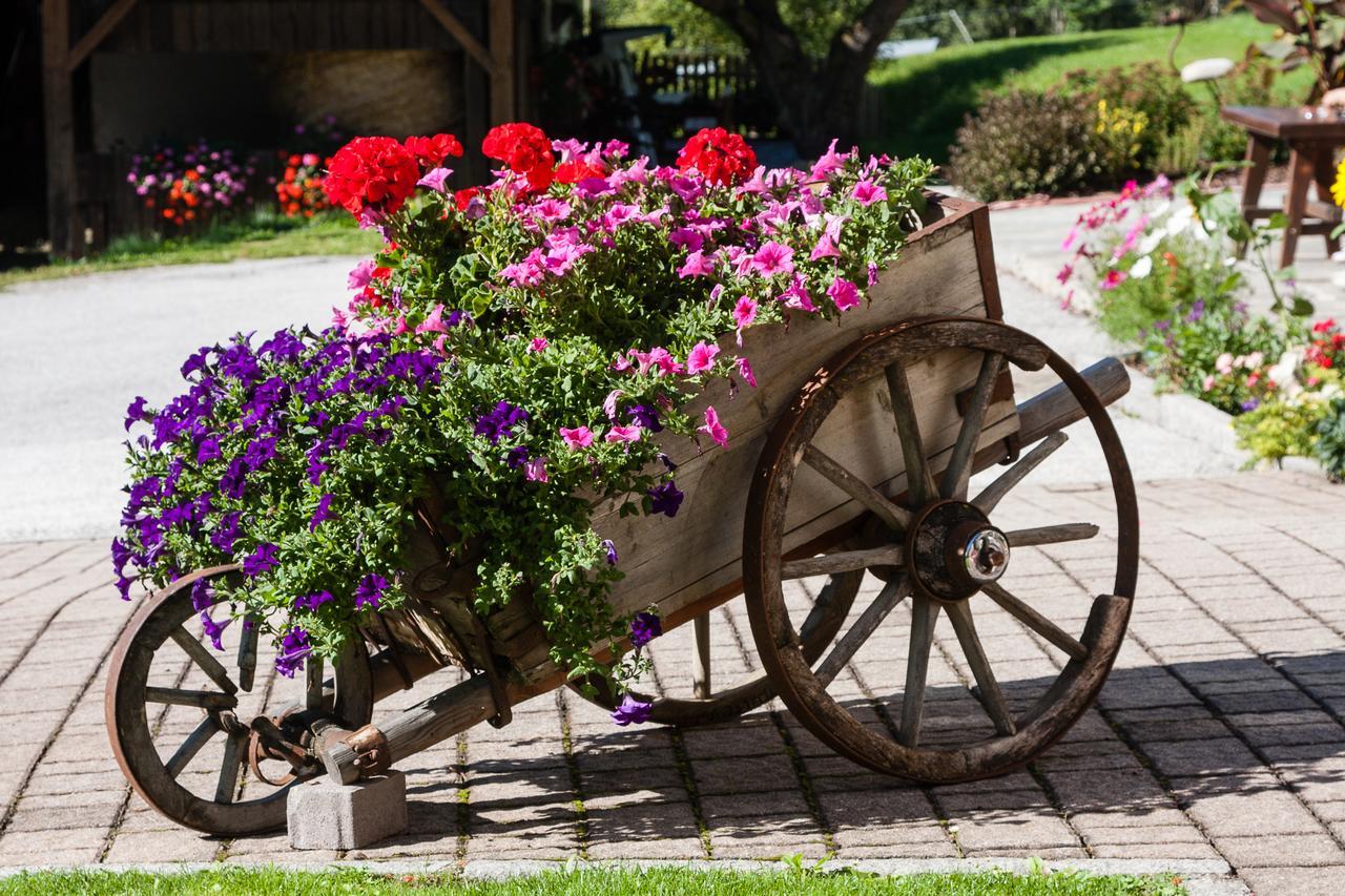 Graushof Otel Val di Vizze Dış mekan fotoğraf